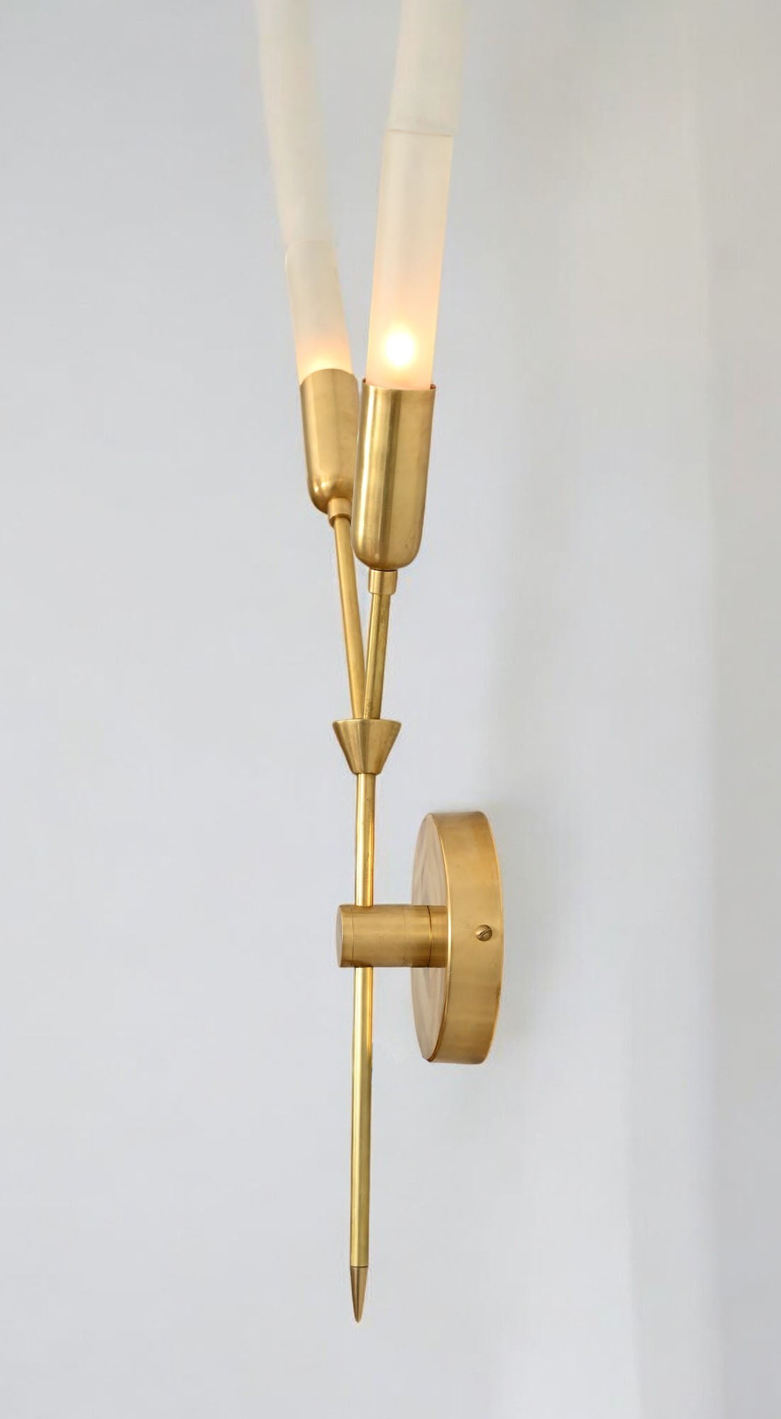 Illuminate your space with the Glass Tube Wall Sconce, featuring raw brass accents