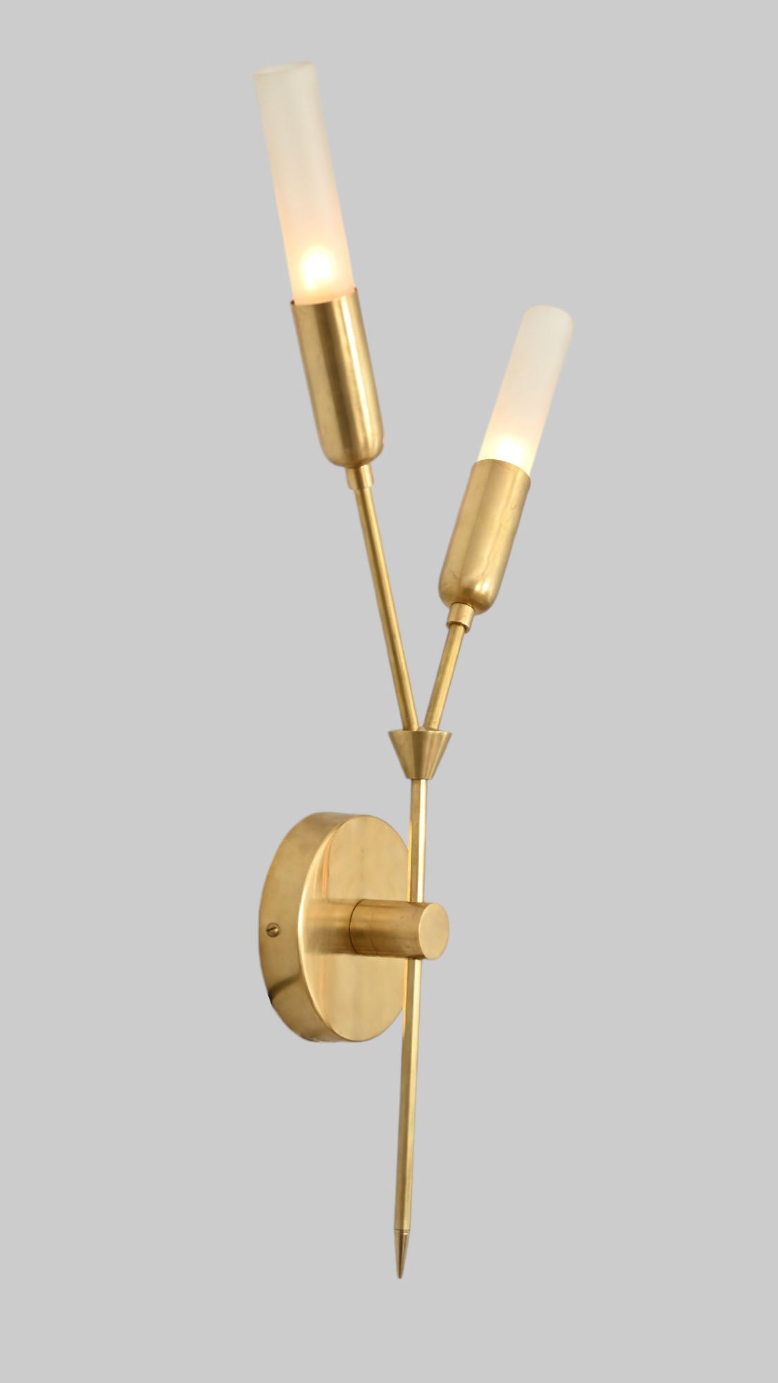 Illuminate your space with the Glass Tube Wall Sconce, featuring raw brass accents